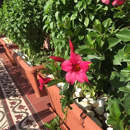 Sperveri Boutique Otel Rhodes City