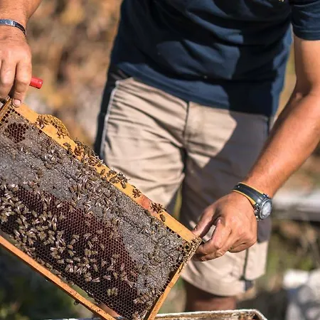 Sperveri Boutique 4* Rhodes City