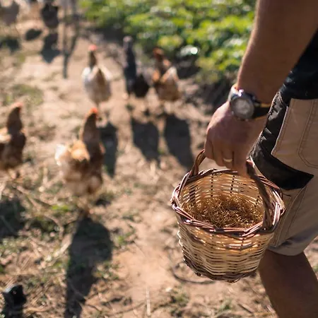 Otel Sperveri Boutique 4*