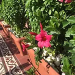 Sperveri Boutique Hotel Rhodes City