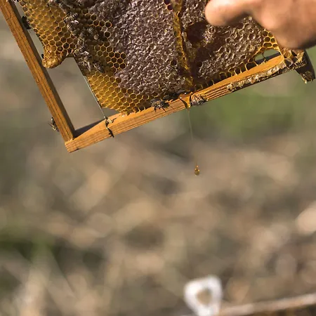 Sperveri Boutique Rhodes City