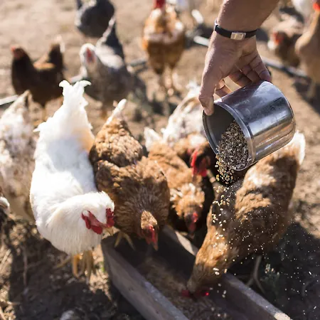 Sperveri Boutique Hotell