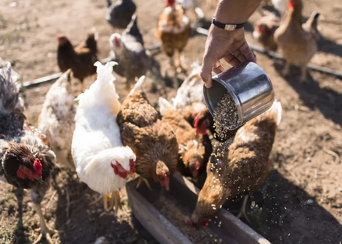 Sperveri Boutique Hotel