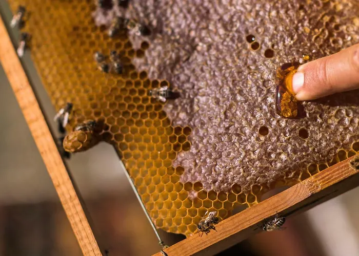 Sperveri Boutique 4* Rhodes City