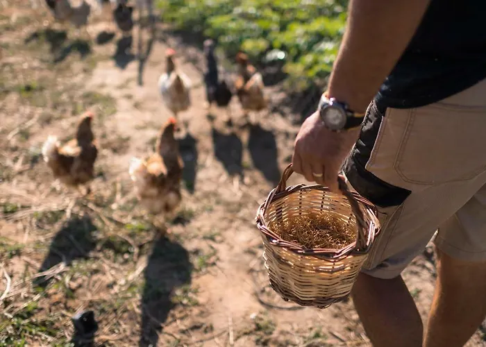 Hotel Sperveri Boutique 4*