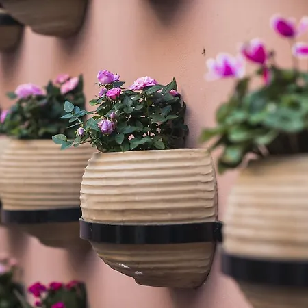 Sperveri Boutique 4*