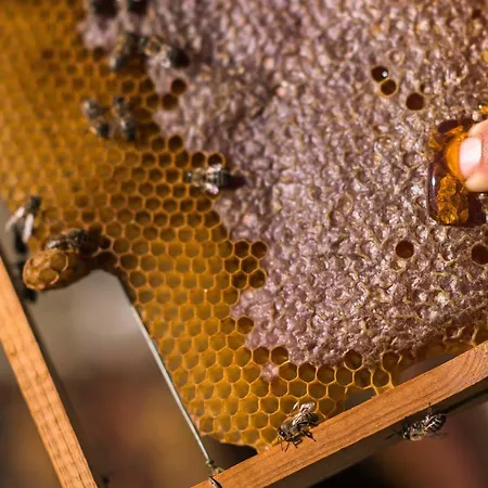 Sperveri Boutique 4* Rhodes City